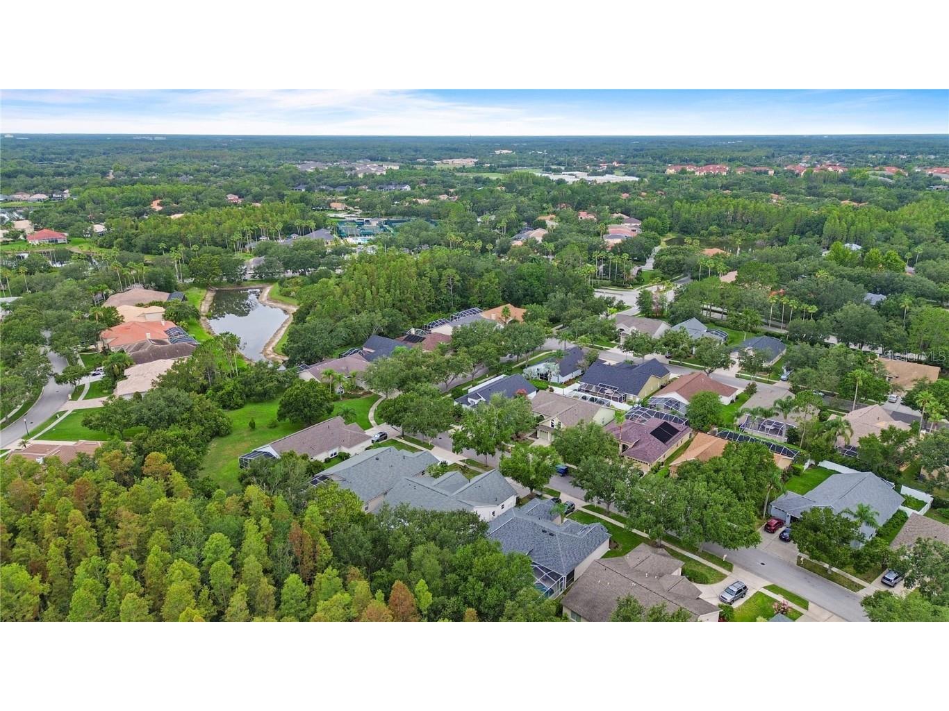 10217 Timberland Point Drive Tampa FL 33647 O6344803 image7