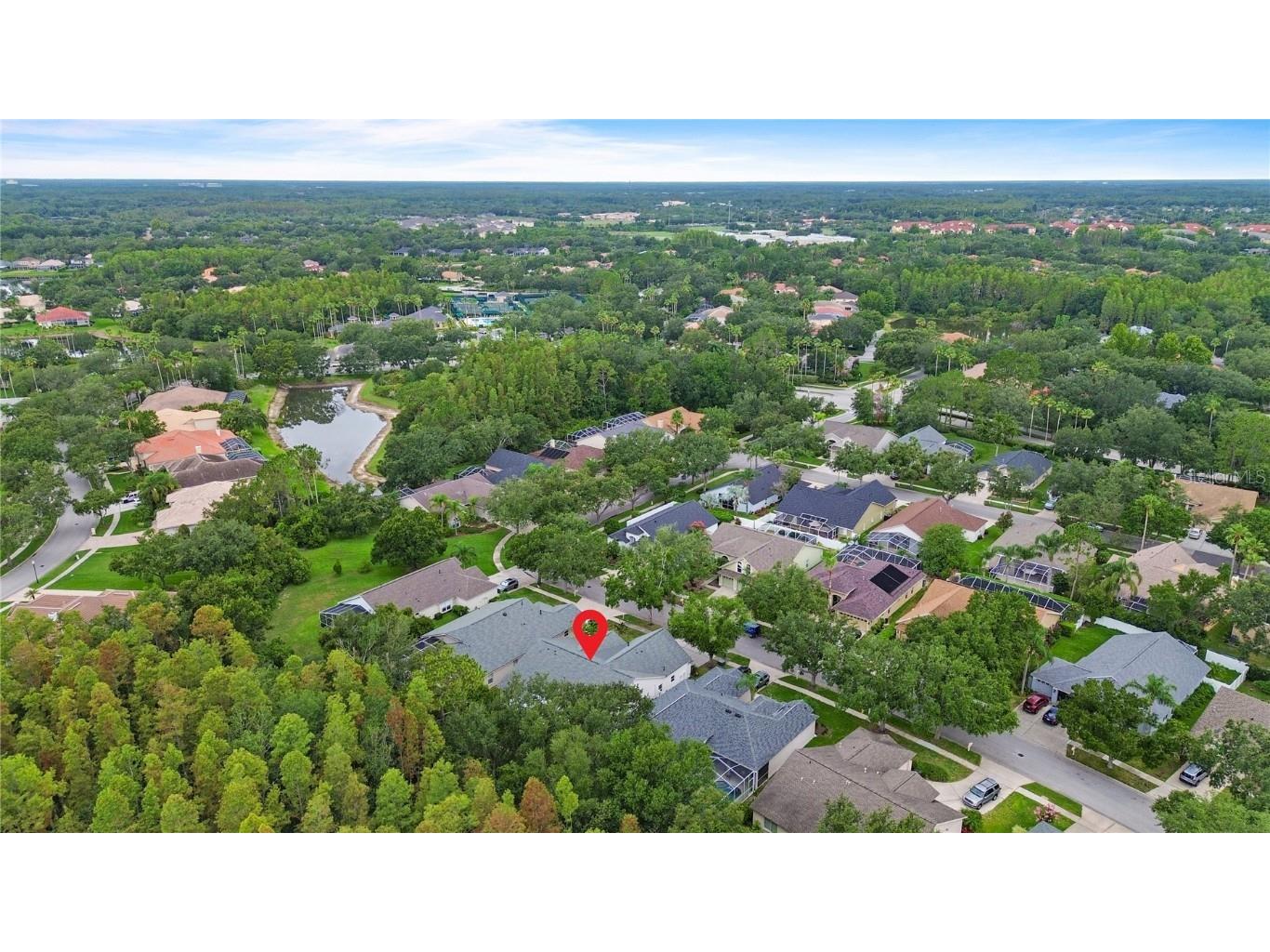 10217 Timberland Point Drive Tampa FL 33647 O6344803 image8