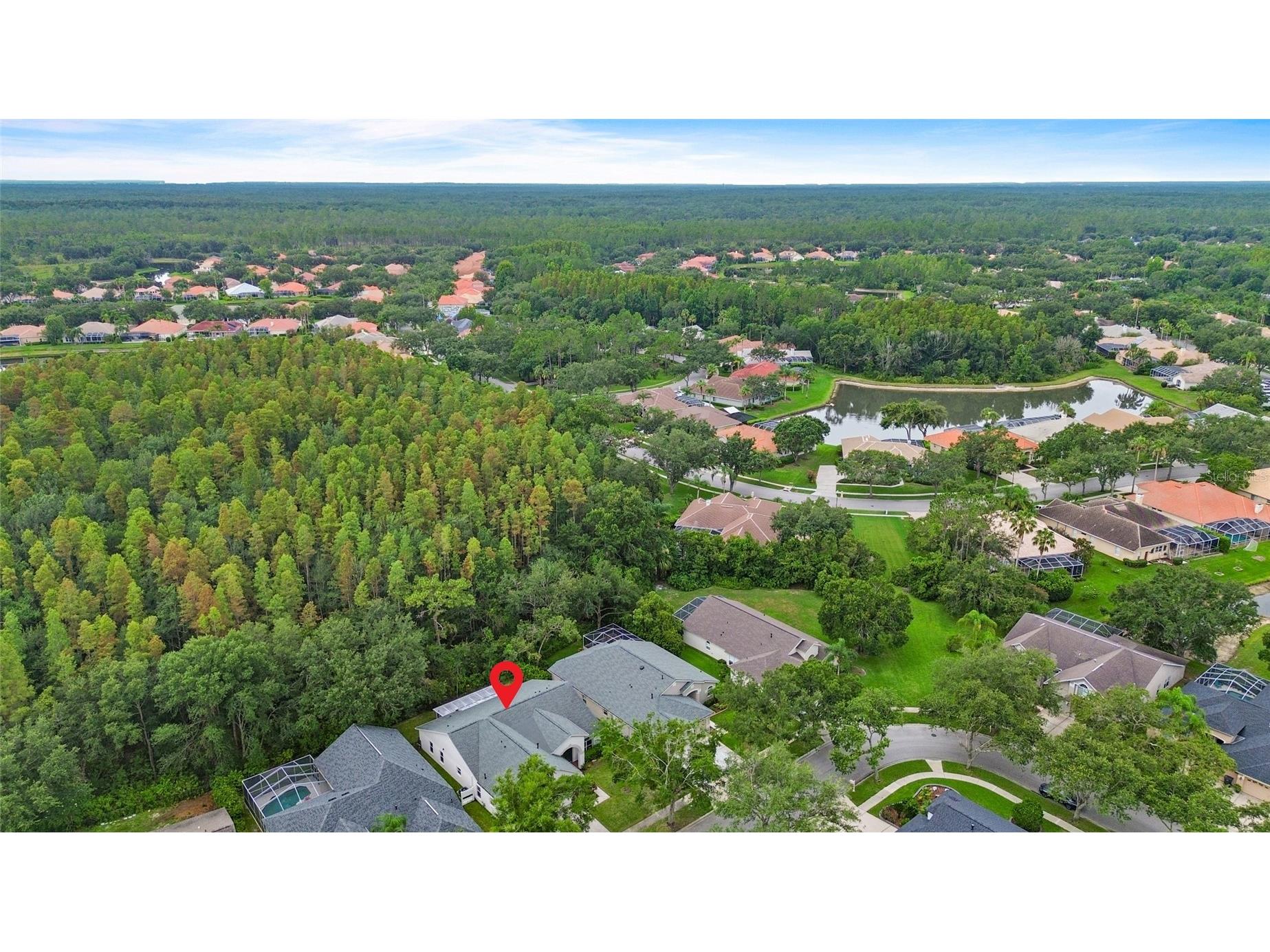 10217 Timberland Point Drive Tampa FL 33647 O6417553 image10