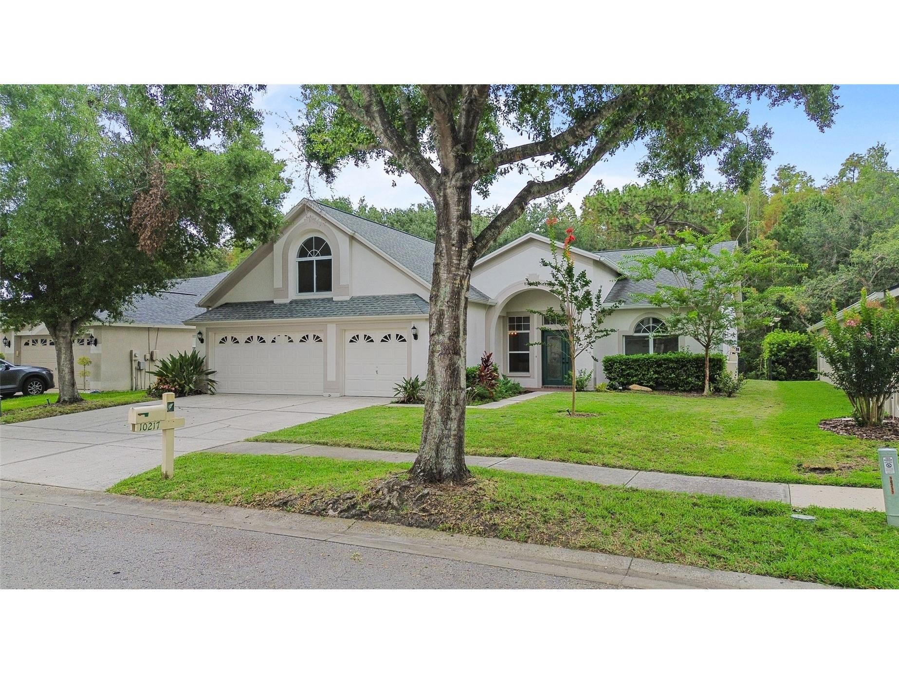 10217 Timberland Point Drive Tampa FL 33647 O6417553 image2