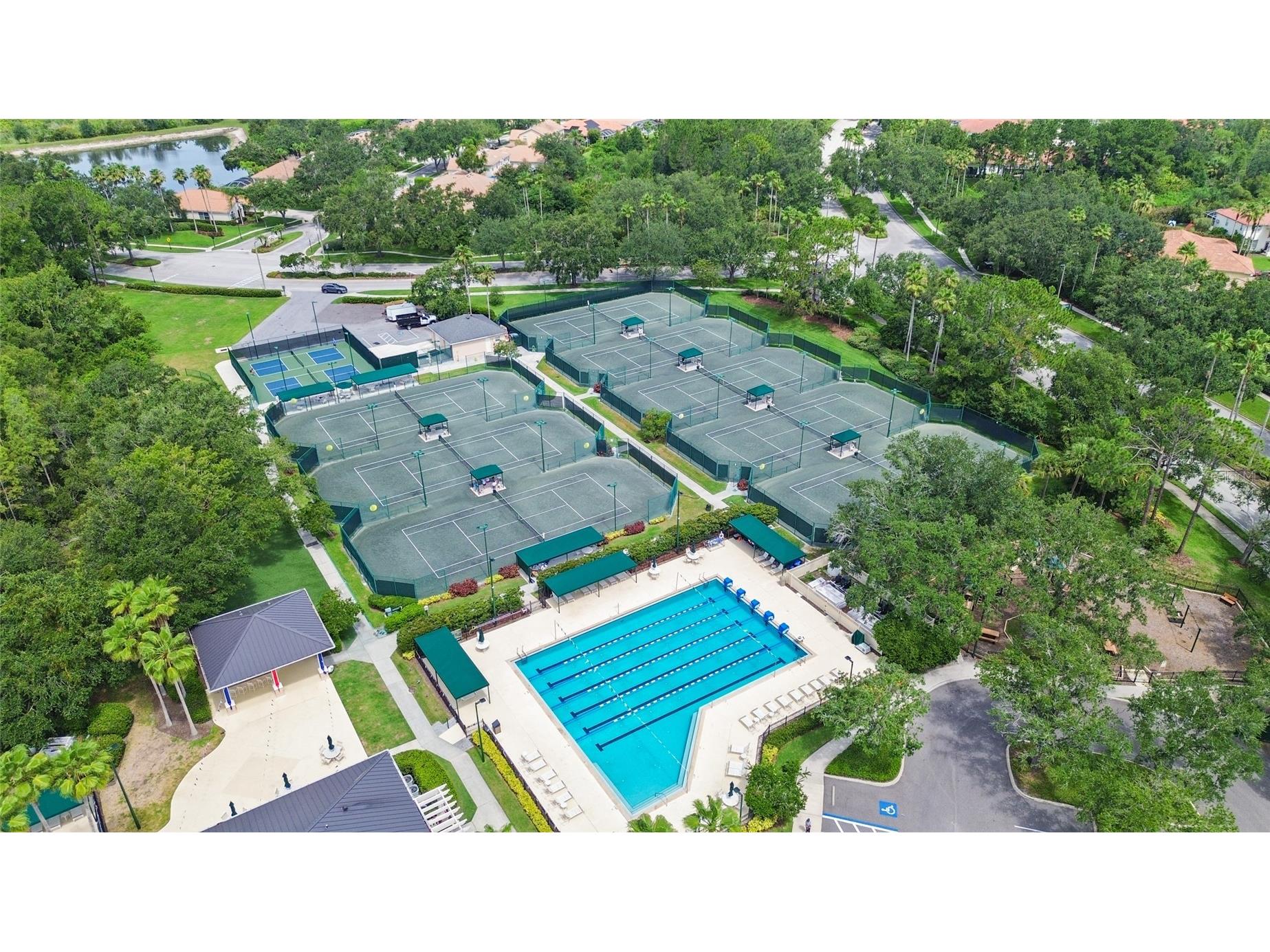 10217 Timberland Point Drive Tampa FL 33647 O6417553 image53