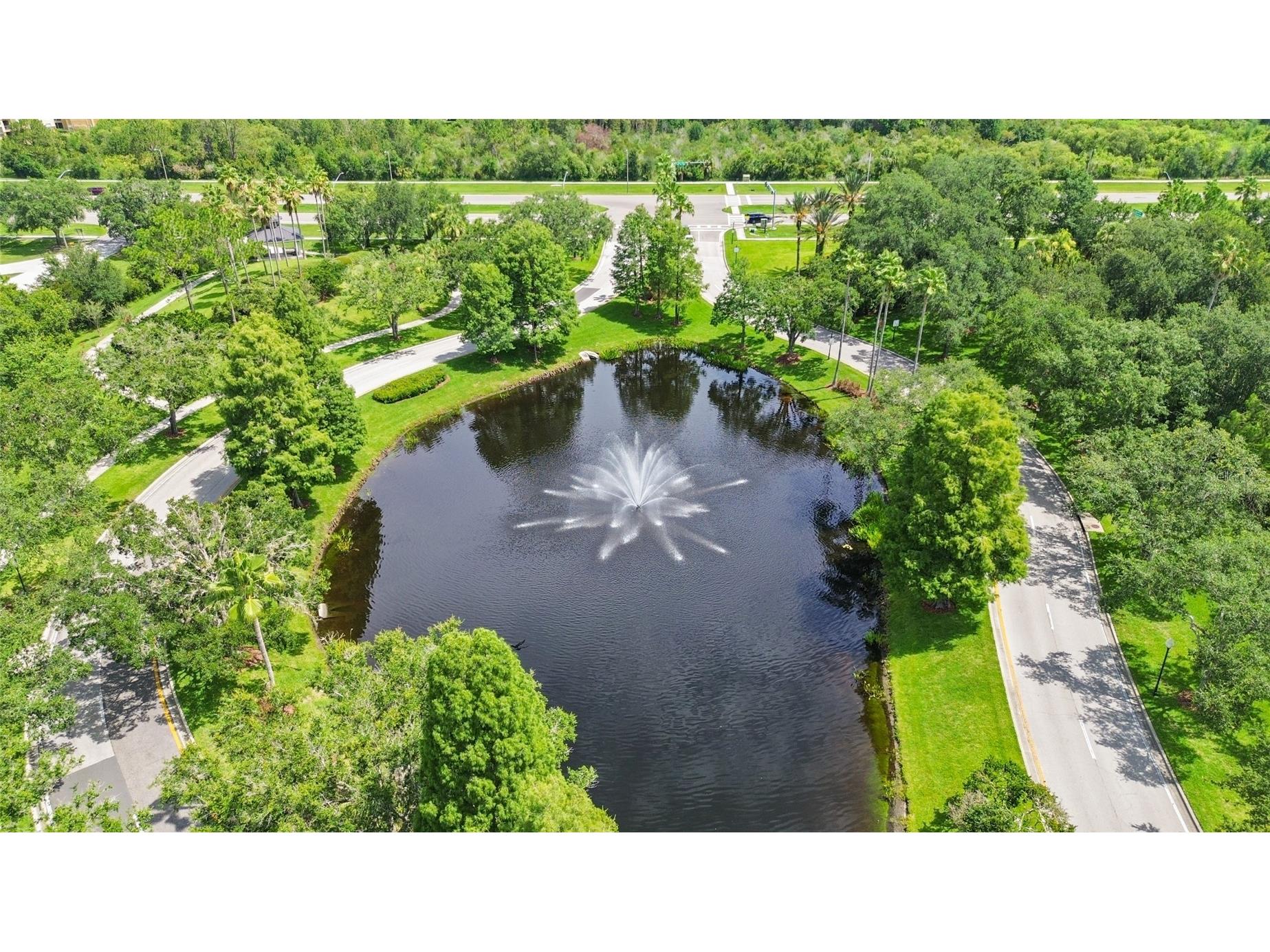 10217 Timberland Point Drive Tampa FL 33647 O6417553 image55