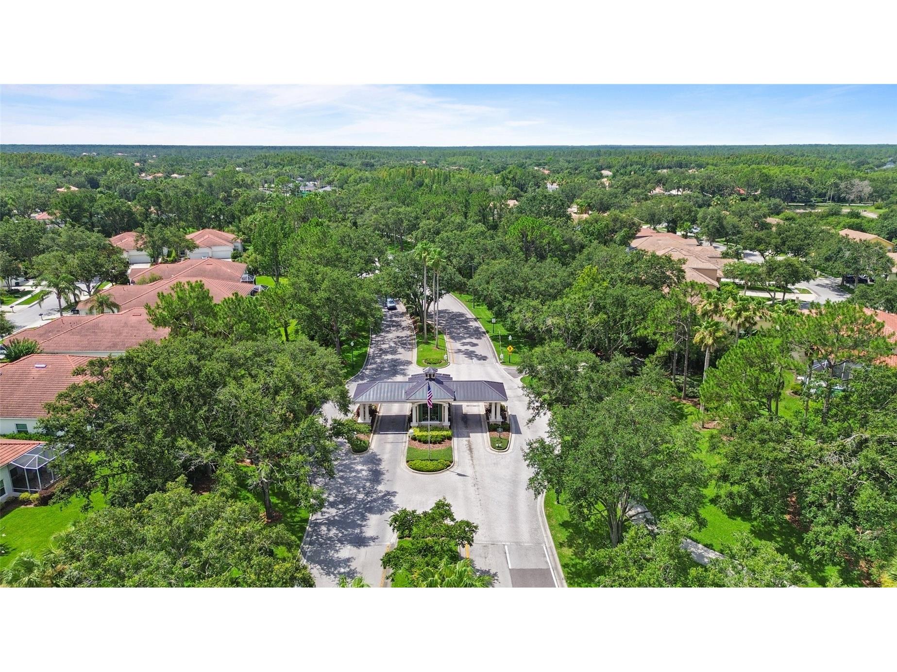 10217 Timberland Point Drive Tampa FL 33647 O6417553 image57