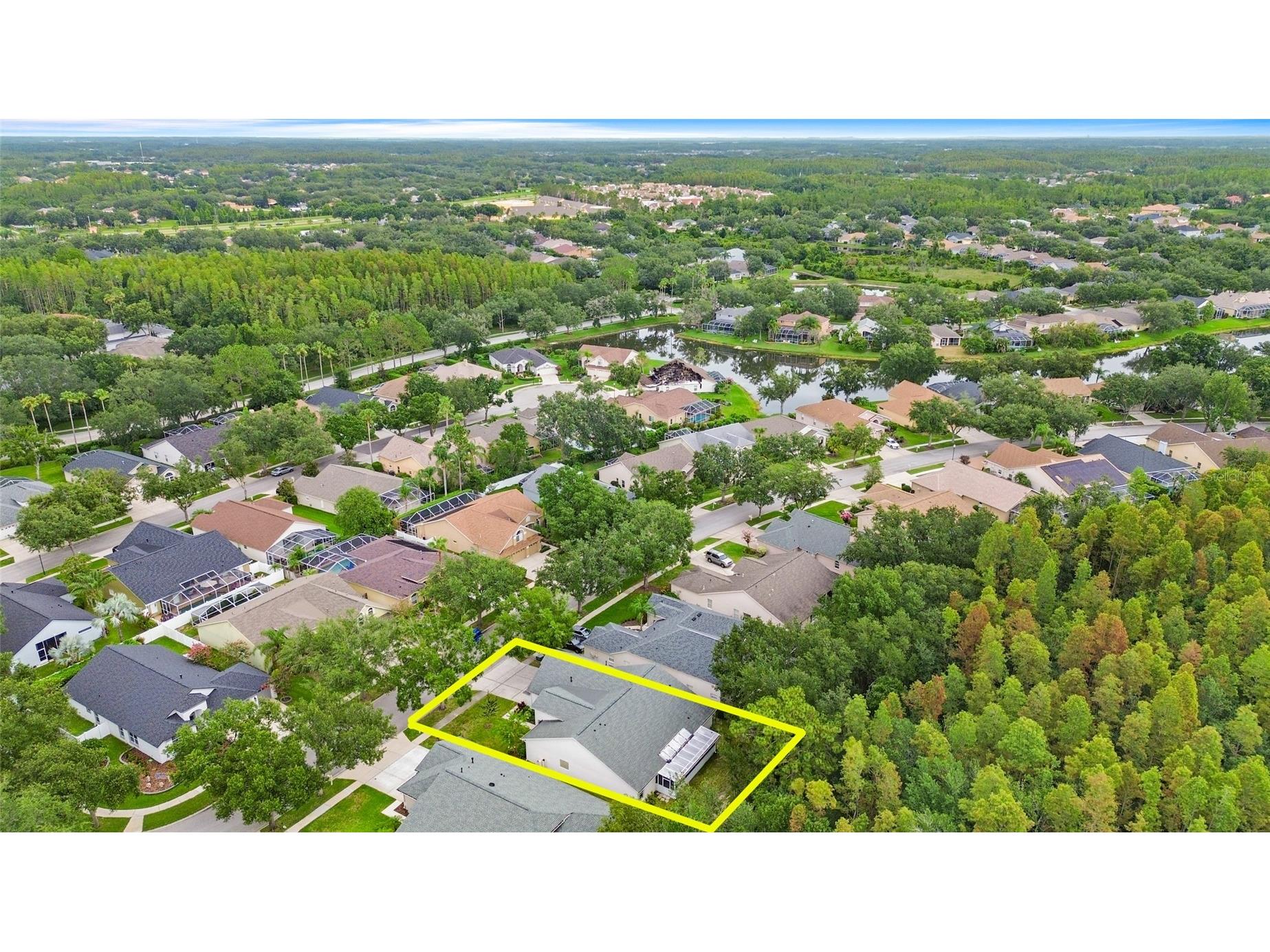 10217 Timberland Point Drive Tampa FL 33647 O6417553 image6