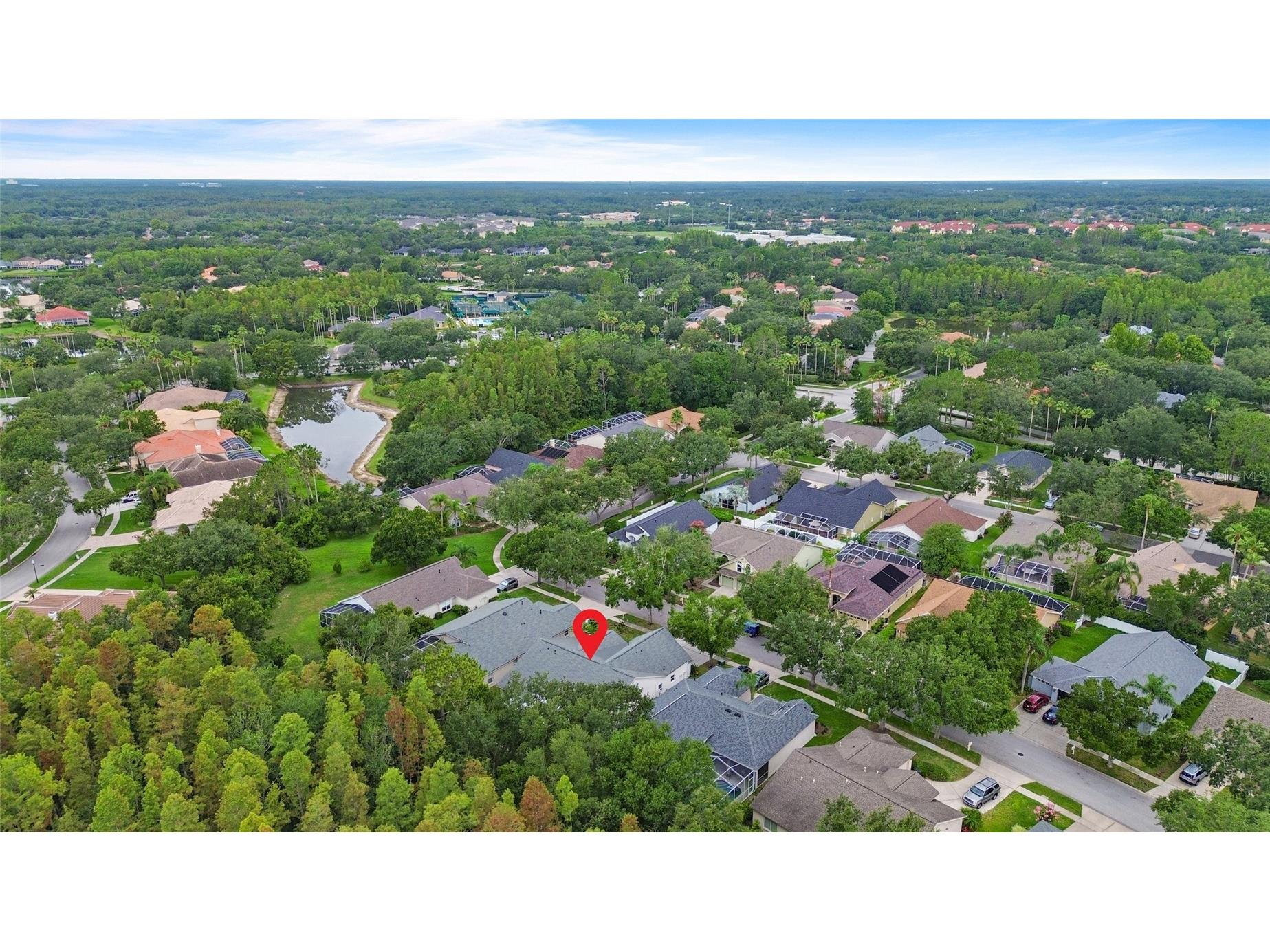 10217 Timberland Point Drive Tampa FL 33647 O6417553 image8