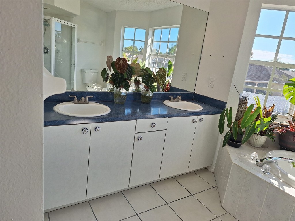 10218 Barnett Loop Port Richey FL 34668 W7881141 image41