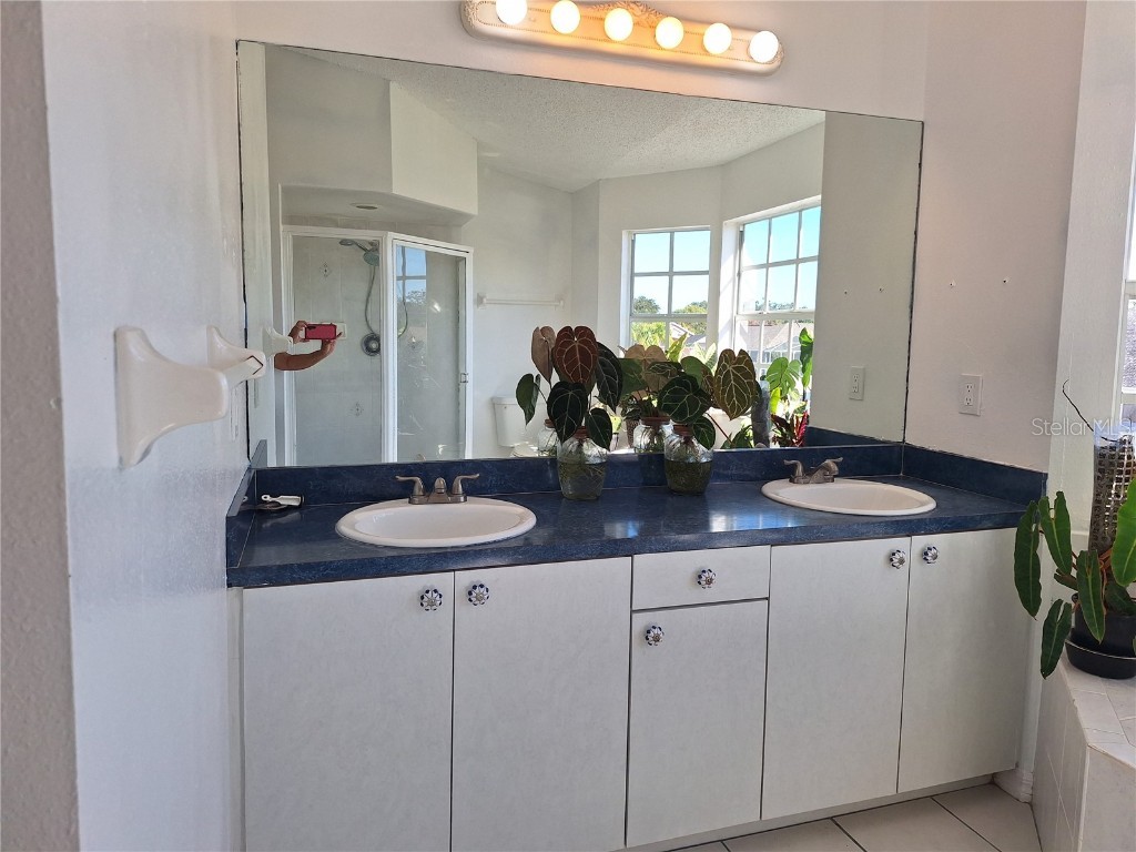 10218 Barnett Loop Port Richey FL 34668 W7881141 image42