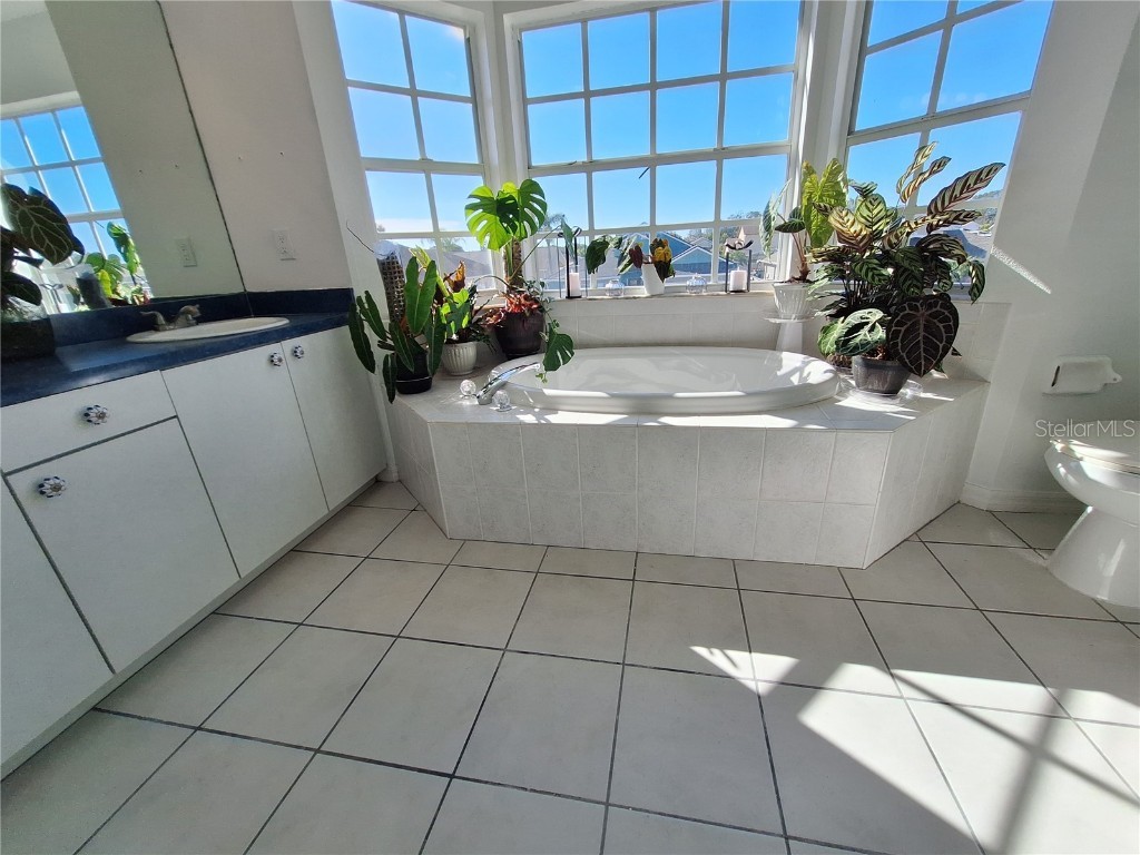 10218 Barnett Loop Port Richey FL 34668 W7881141 image44