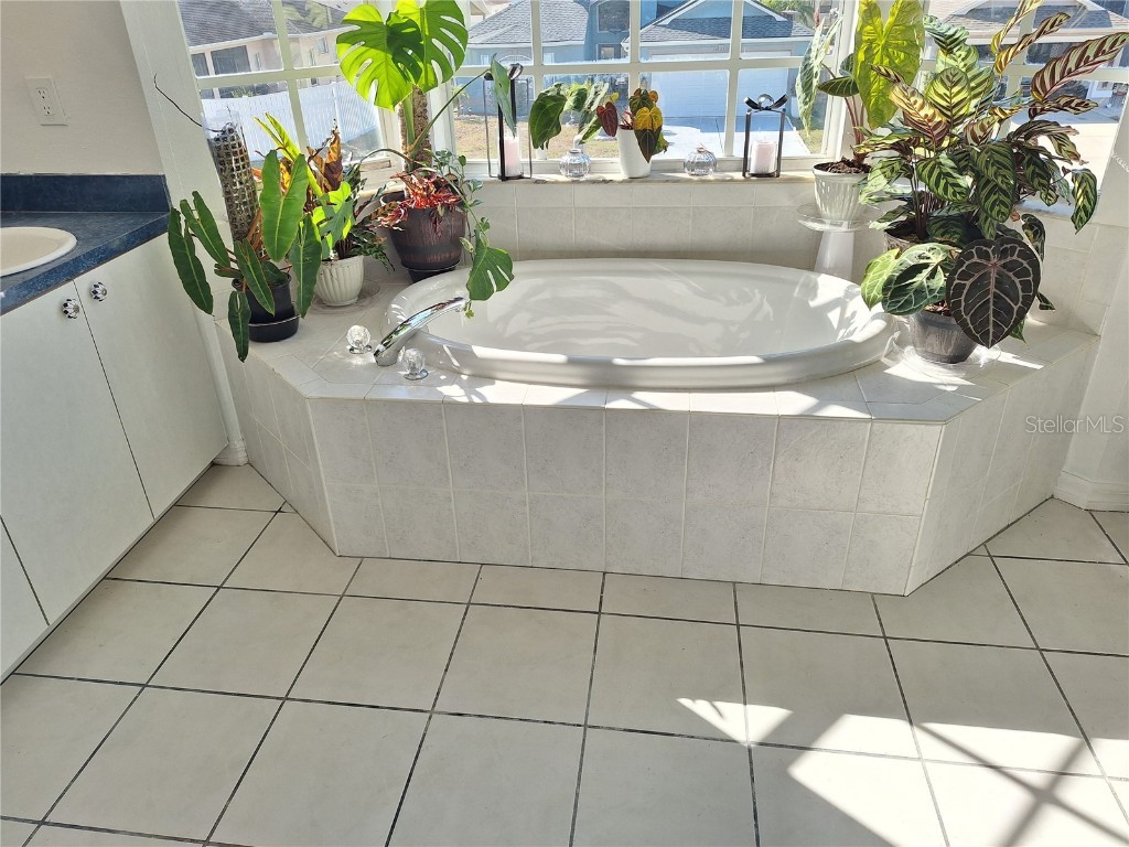 10218 Barnett Loop Port Richey FL 34668 W7881141 image45