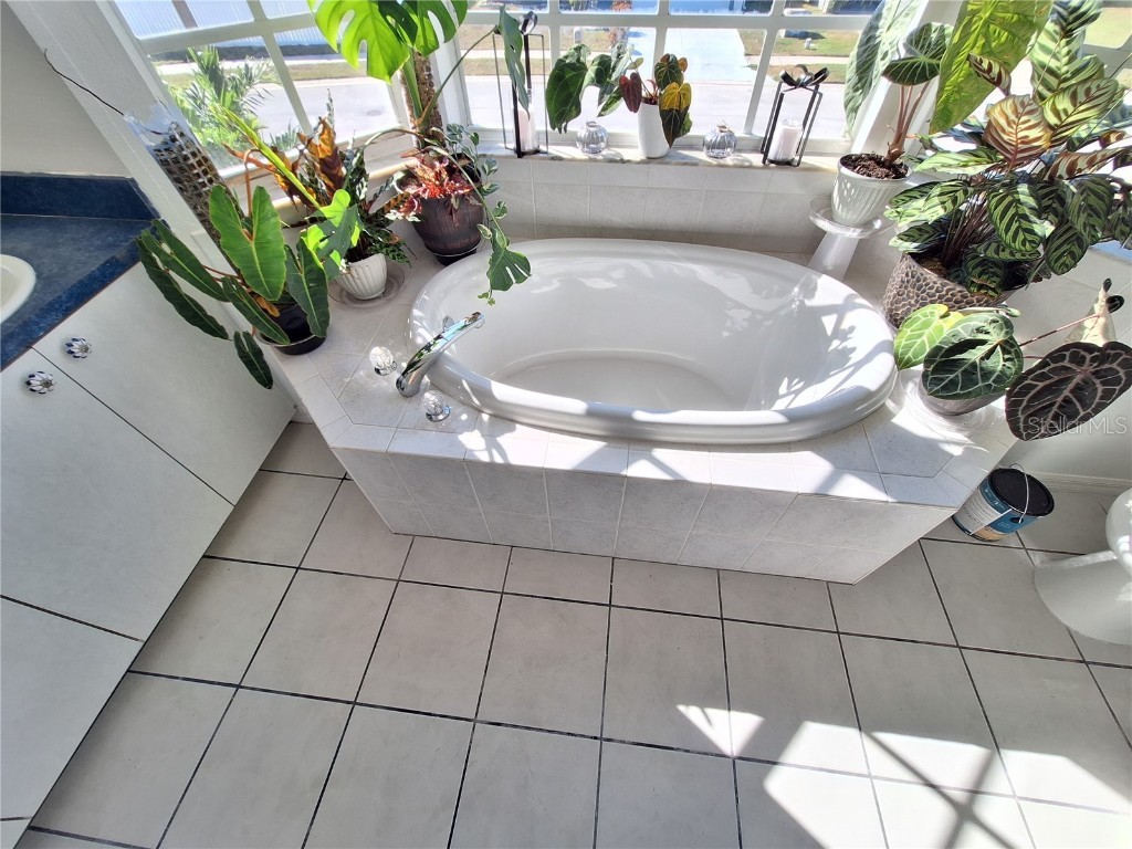 10218 Barnett Loop Port Richey FL 34668 W7881141 image46