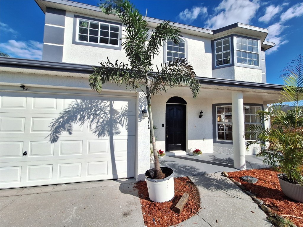 10218 Barnett Loop Port Richey FL 34668 W7881141 image7