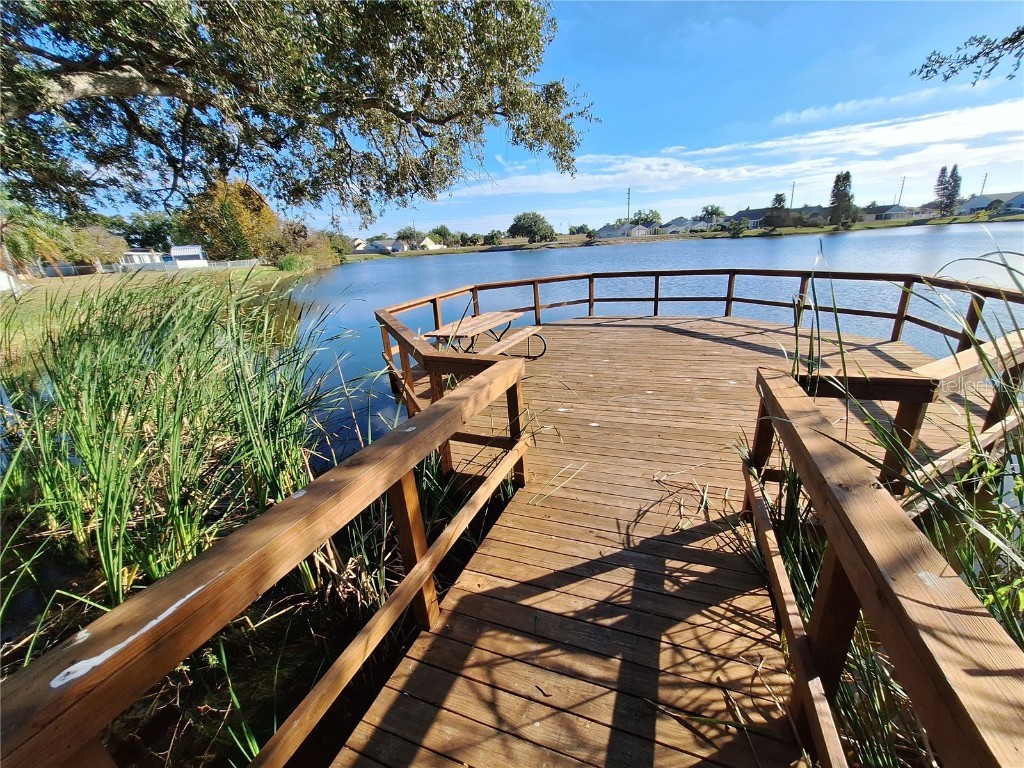 10218 Barnett Loop Port Richey FL 34668 W7881141 image77