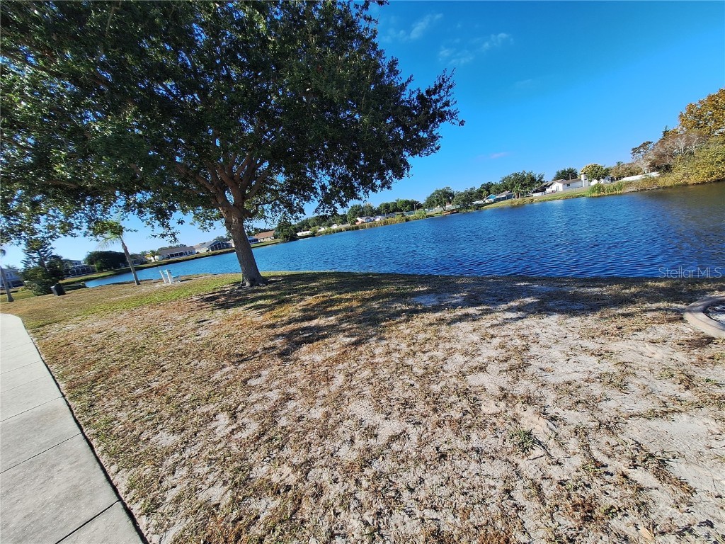 10218 Barnett Loop Port Richey FL 34668 W7881141 image80