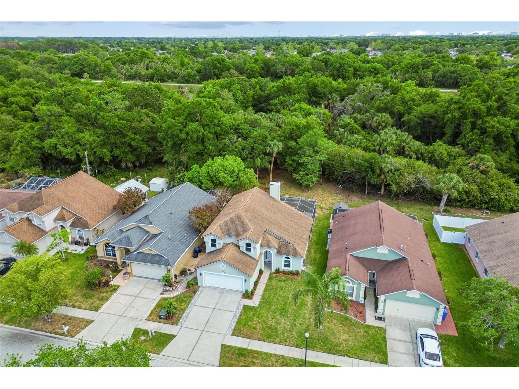 10218 Charleston Corner Road Tampa FL 33635 TB8494396 image27
