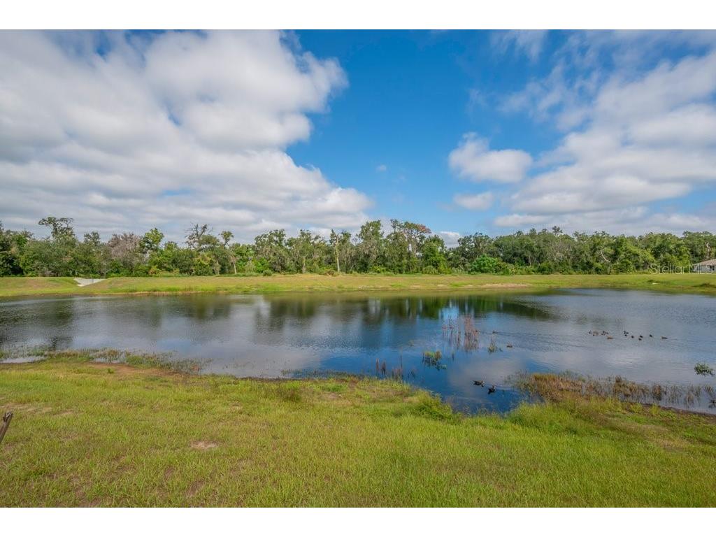 10218 Cloudburst Court Riverview FL 33578 TB8432843 image22