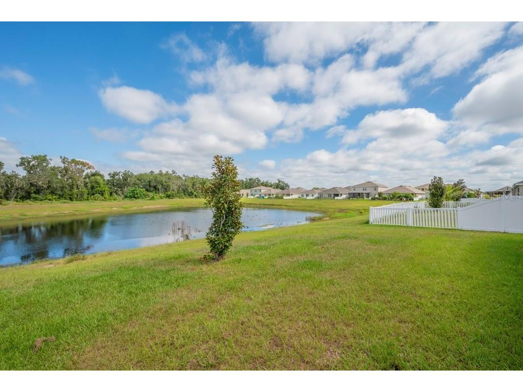 10218 Cloudburst Court Riverview FL 33578 TB8432843 image24