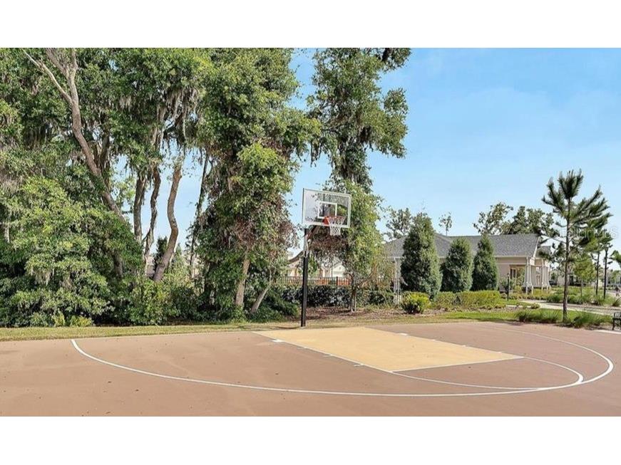 10218 Cloudburst Court Riverview FL 33578 TB8432843 image27