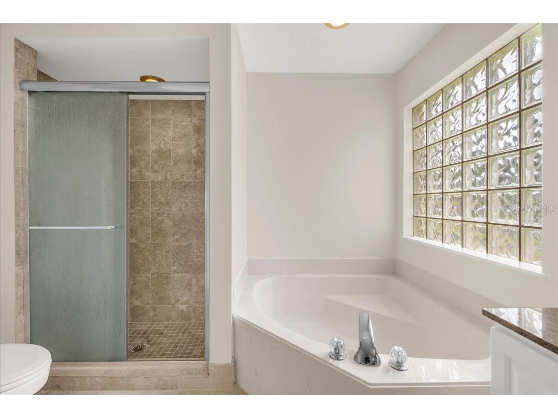 10218 Facet Court Orlando FL 32836 O6345431 image13