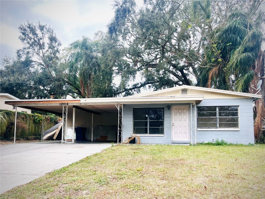 10218 Lola Street Tampa FL 33612 TB8334419 image1