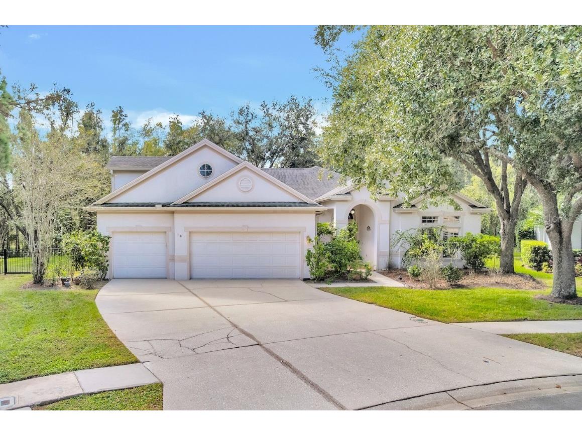 10218 Shadow Branch Drive Tampa FL 33647 TB8446971 image1