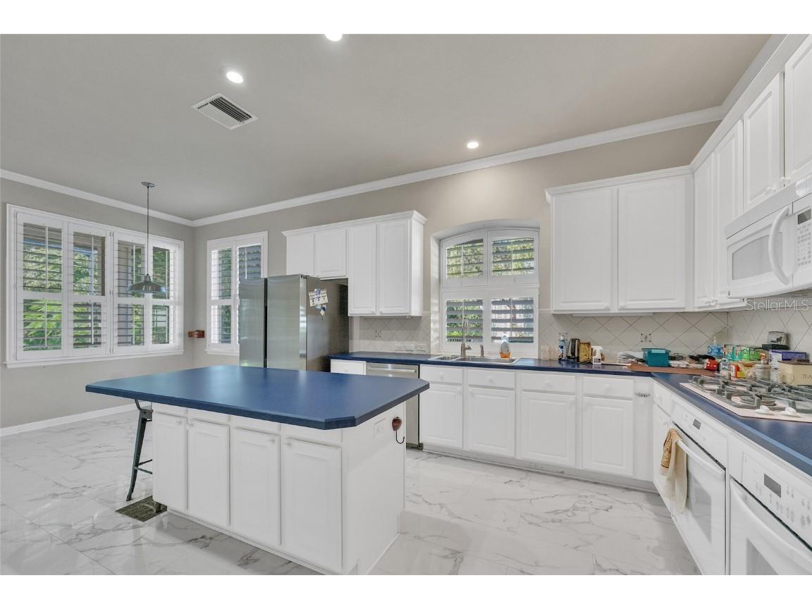 10218 Shadow Branch Drive Tampa FL 33647 TB8446971 image19