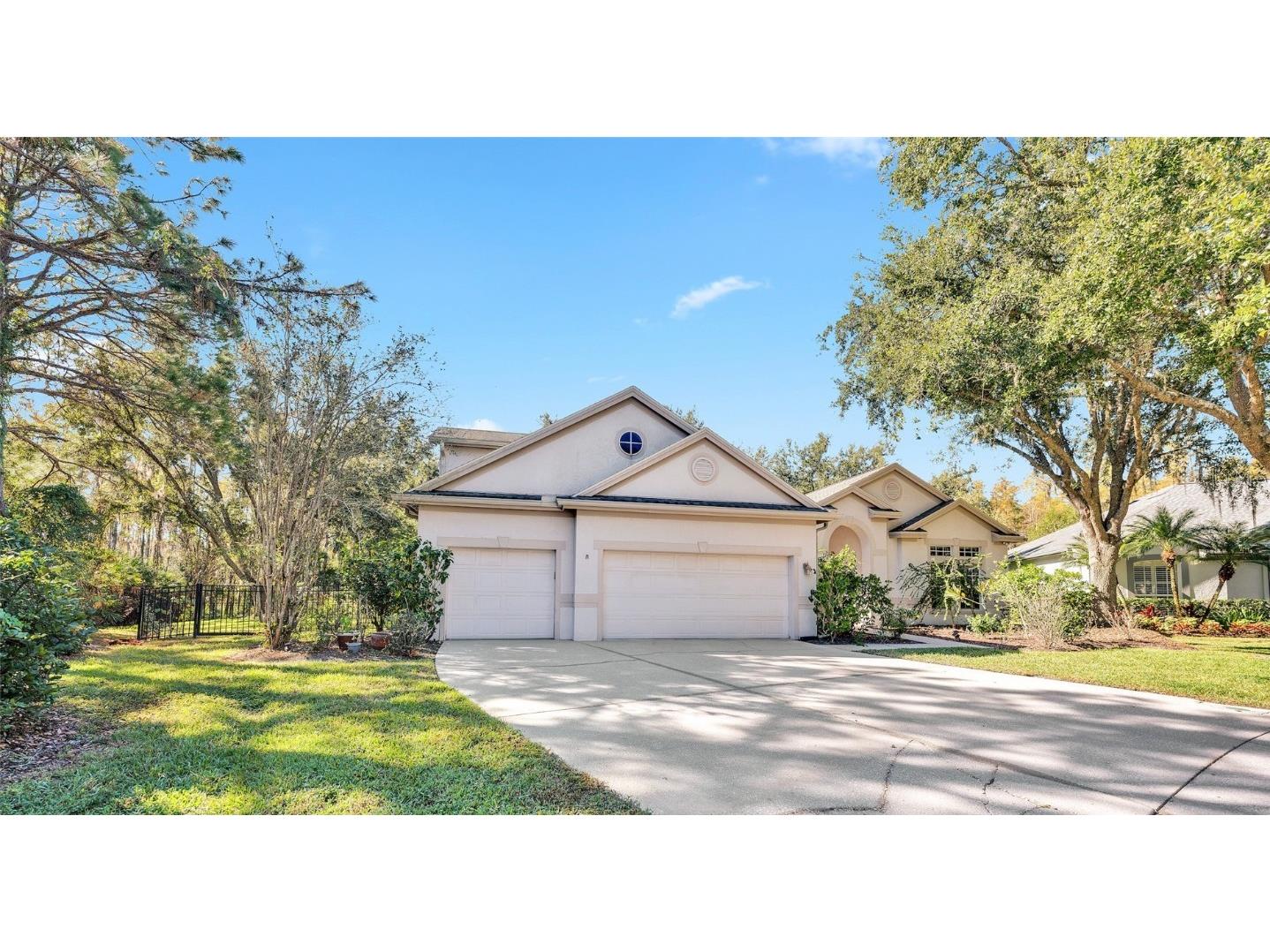 10218 Shadow Branch Drive Tampa FL 33647 TB8446971 image2