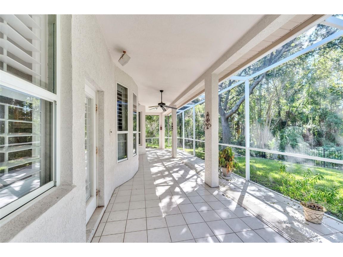 10218 Shadow Branch Drive Tampa FL 33647 TB8446971 image21