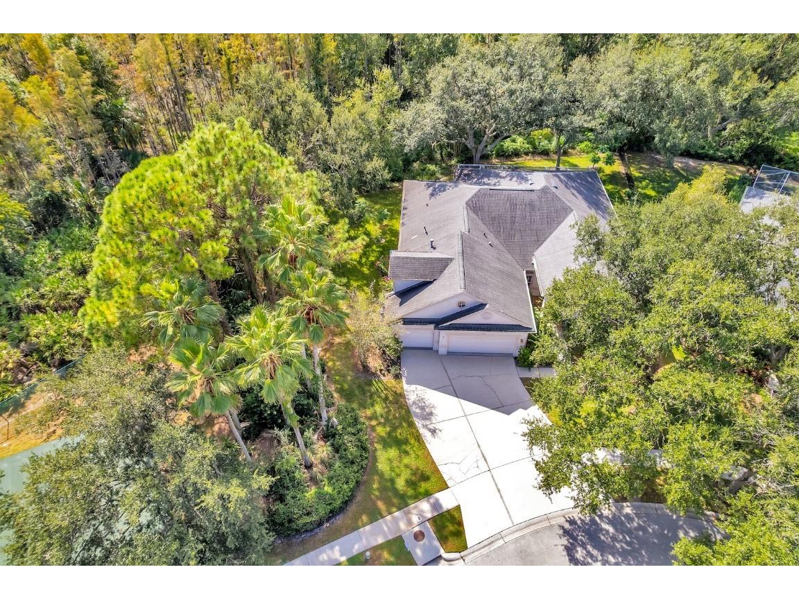 10218 Shadow Branch Drive Tampa FL 33647 TB8446971 image3