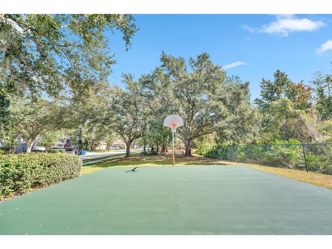 10218 Shadow Branch Drive Tampa FL 33647 TB8446971 image39