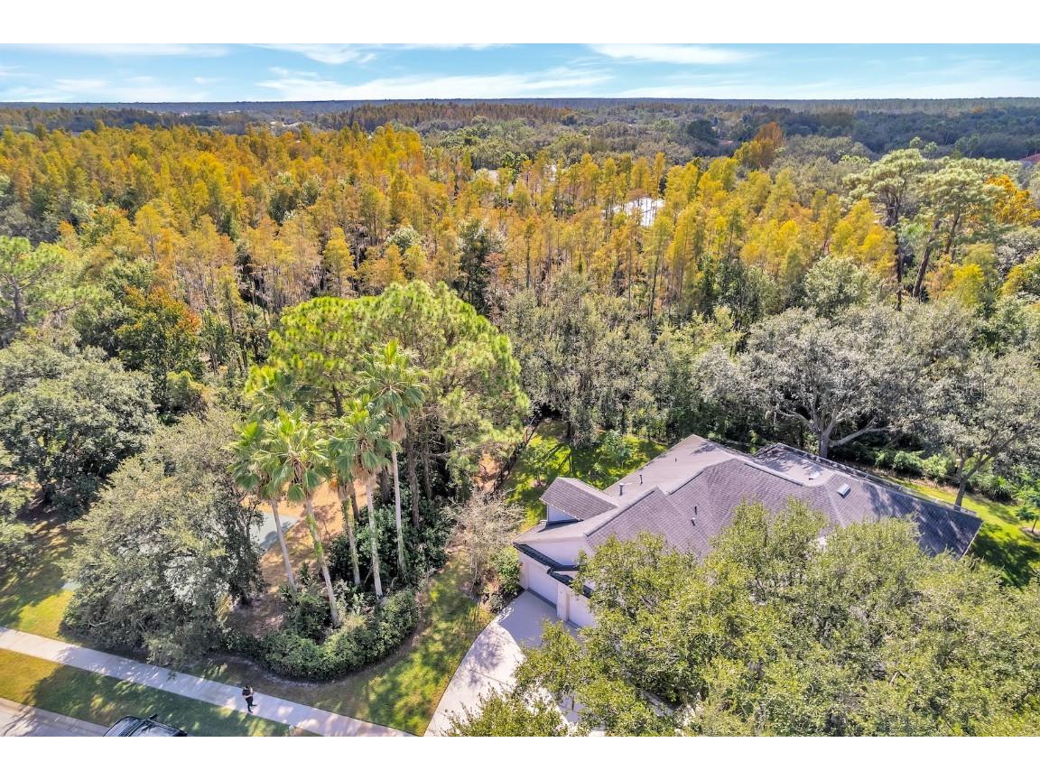 10218 Shadow Branch Drive Tampa FL 33647 TB8446971 image4