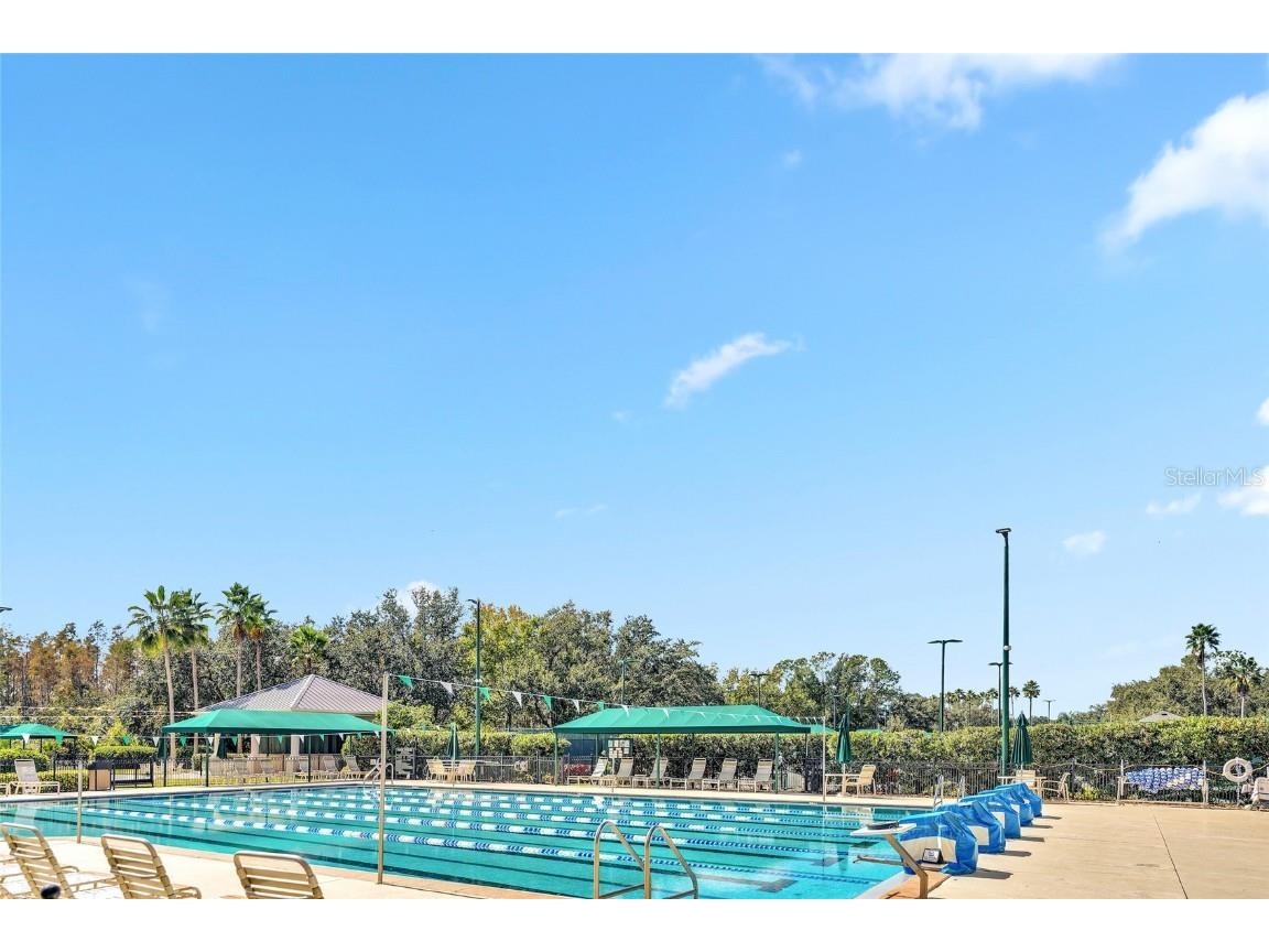 10218 Shadow Branch Drive Tampa FL 33647 TB8446971 image41