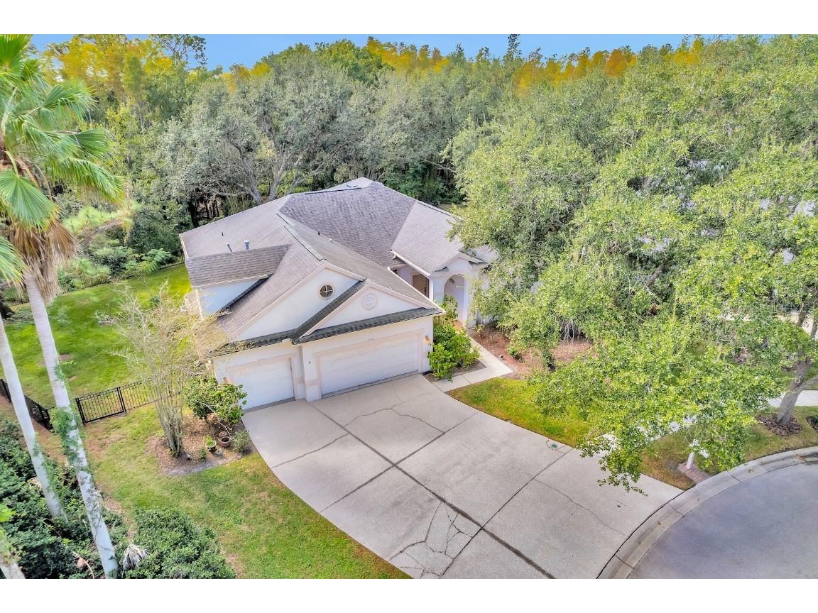 10218 Shadow Branch Drive Tampa FL 33647 TB8446971 image42