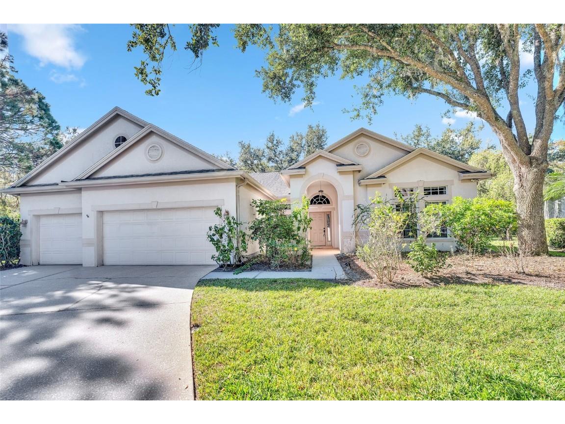 10218 Shadow Branch Drive Tampa FL 33647 TB8446971 image5