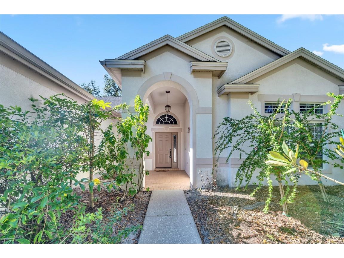 10218 Shadow Branch Drive Tampa FL 33647 TB8446971 image6