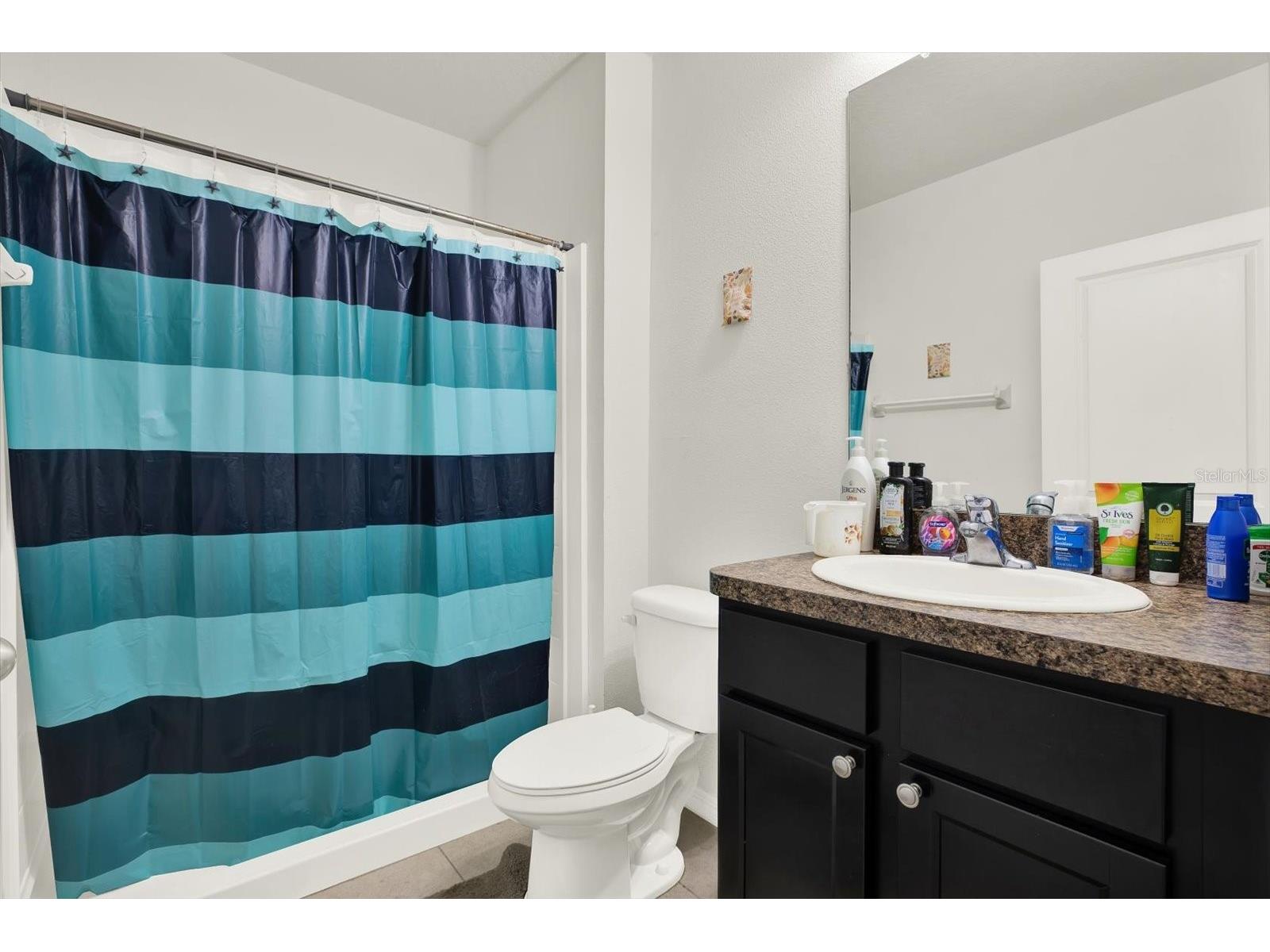 10219 Hawk Storm Avenue Tampa FL 33610 TB8487653 image14
