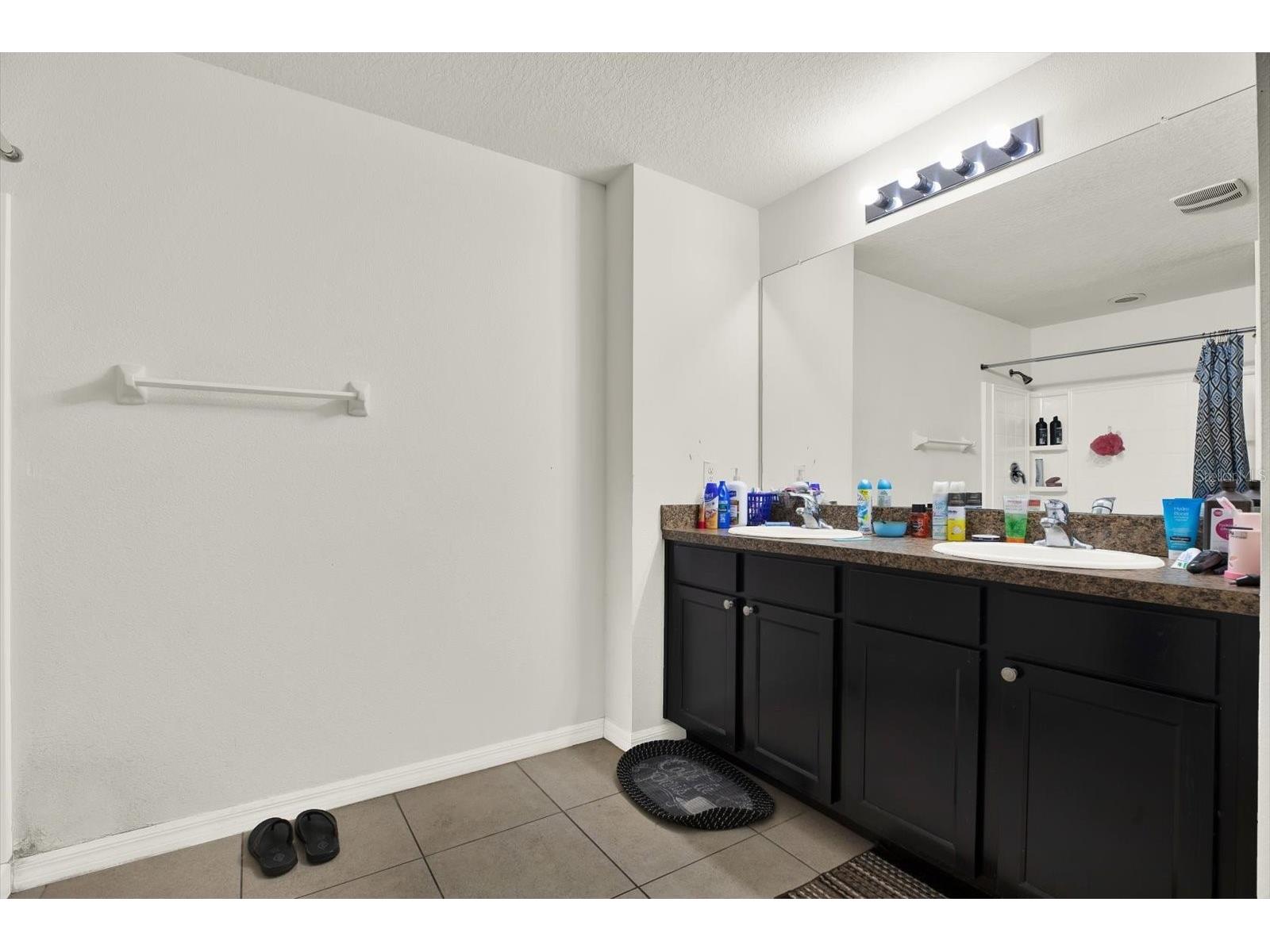 10219 Hawk Storm Avenue Tampa FL 33610 TB8487653 image19