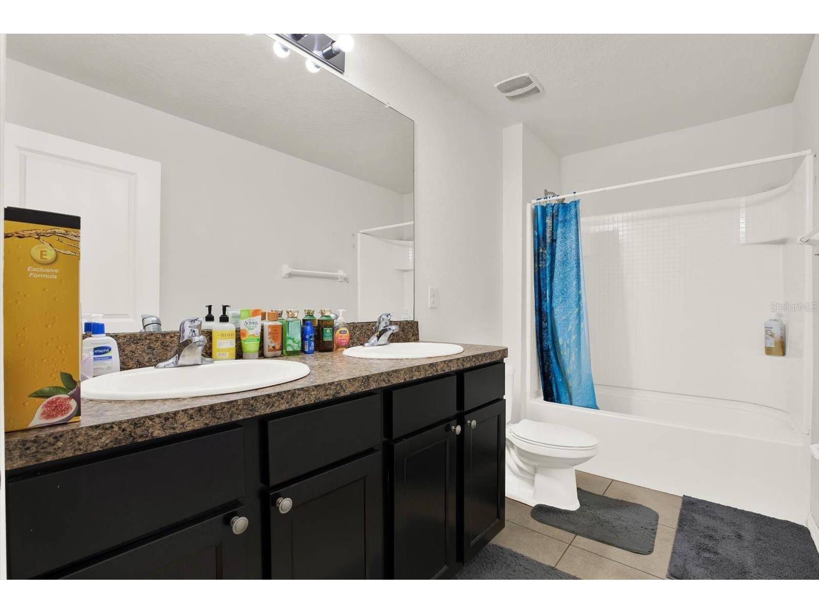 10219 Hawk Storm Avenue Tampa FL 33610 TB8487653 image22