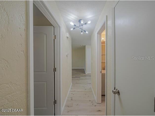 1022 4th Street Port Orange FL 32129 NS1085564 image15