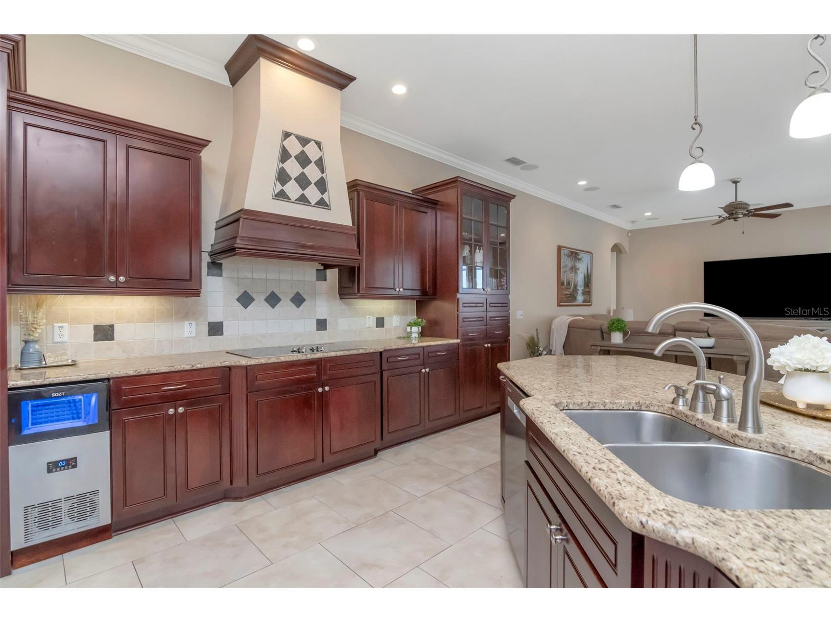 1022 Emerald Creek Drive Valrico FL 33596 TB8484278 image31