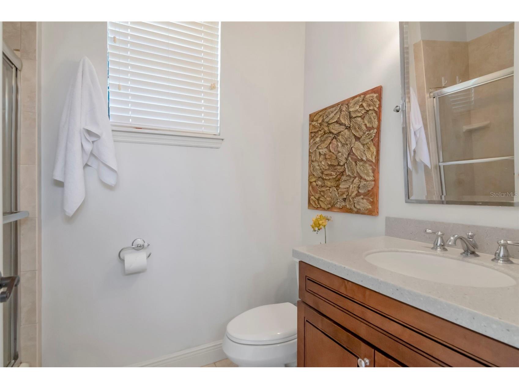 1022 Emerald Creek Drive Valrico FL 33596 TB8484278 image52