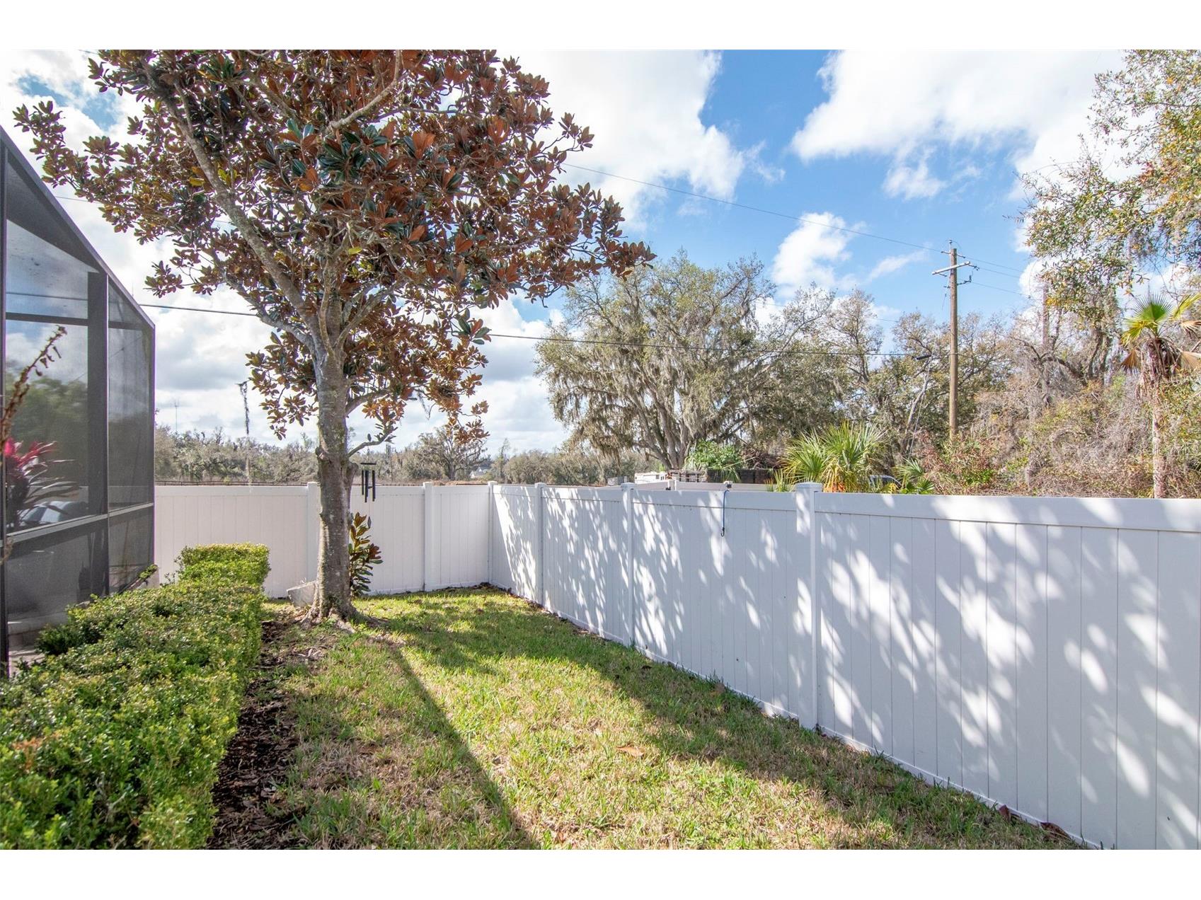 1022 Emerald Creek Drive Valrico FL 33596 TB8484278 image61