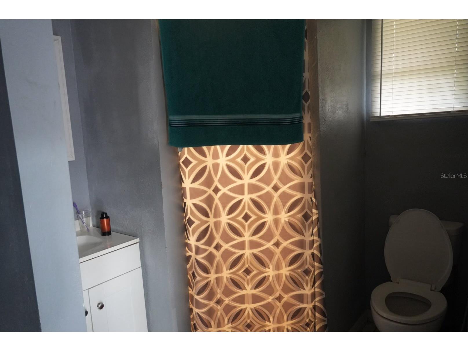 1022 Lamplighter Lane Lakeland FL 33813 L4962094 image23