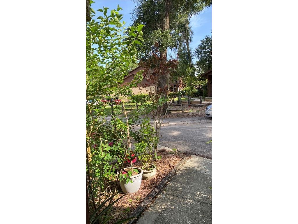 1022 Love Lane #35 Apopka FL 32703 O6315977 image24