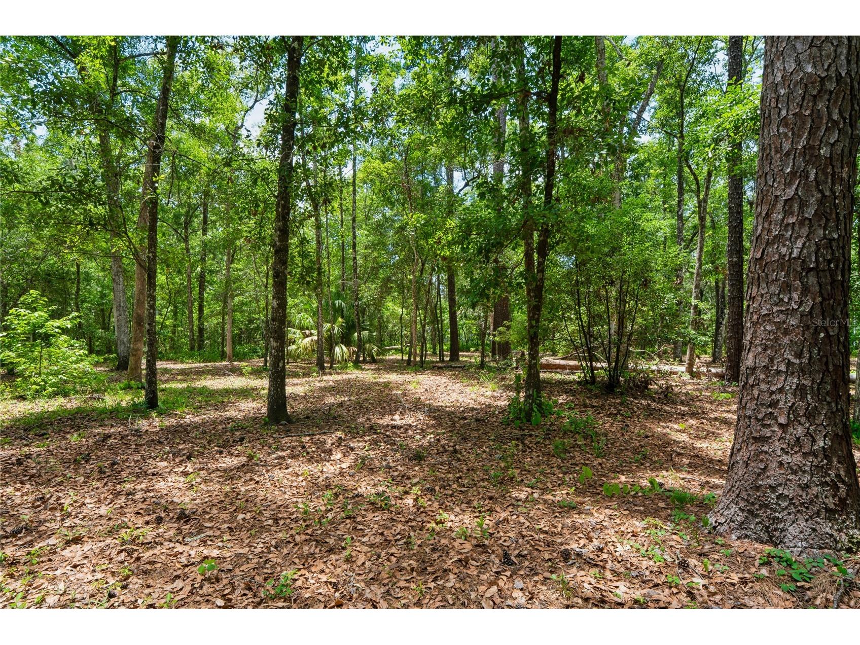 1022 S Mildred Avenue Brooksville FL 34601 W7886656 image53
