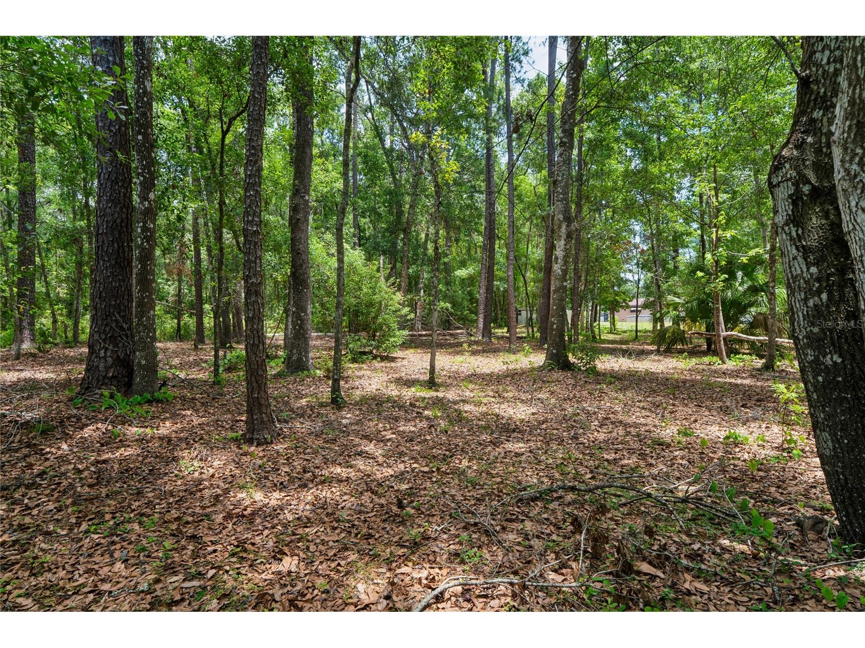 1022 S Mildred Avenue Brooksville FL 34601 W7886656 image54