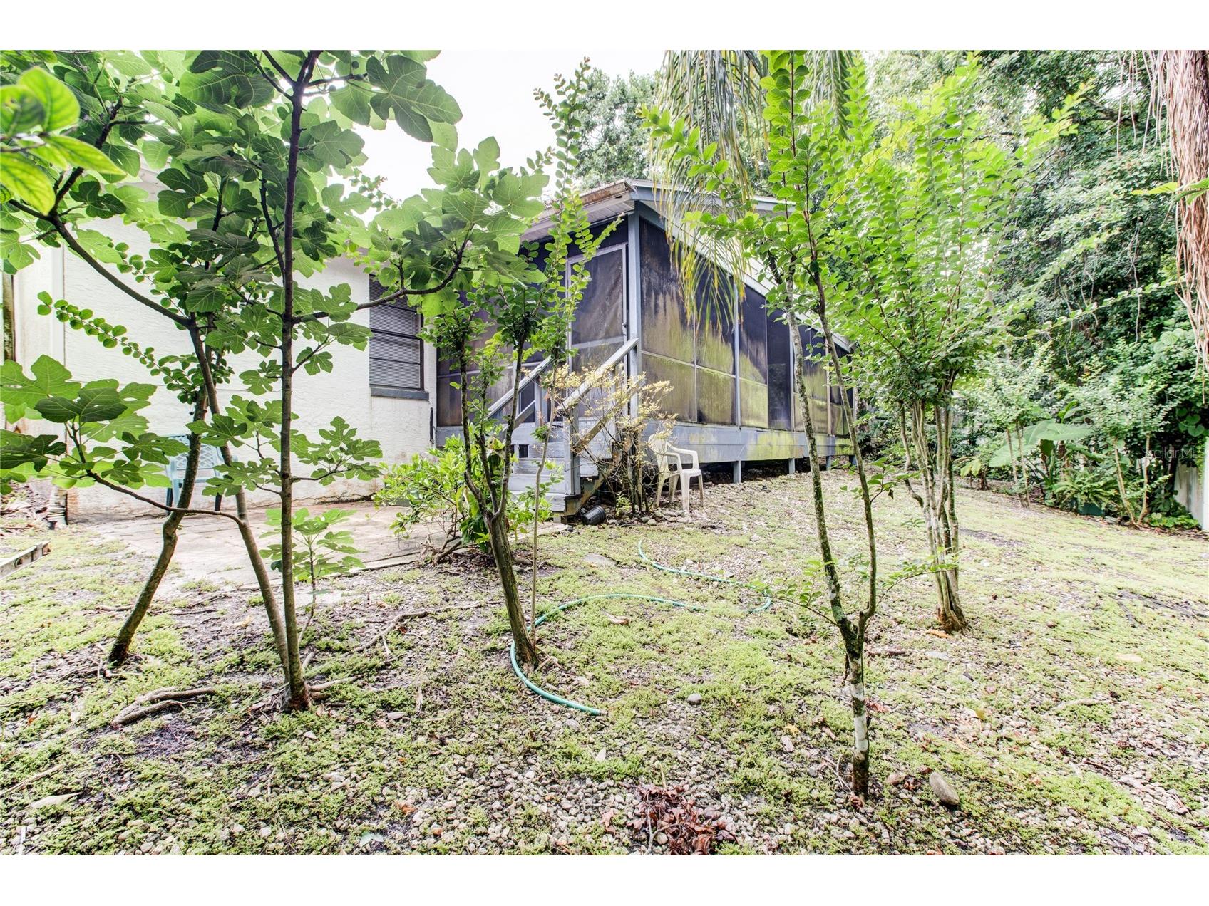 1022 Silcox Branch Circle Oviedo FL 32765 O6412203 image24