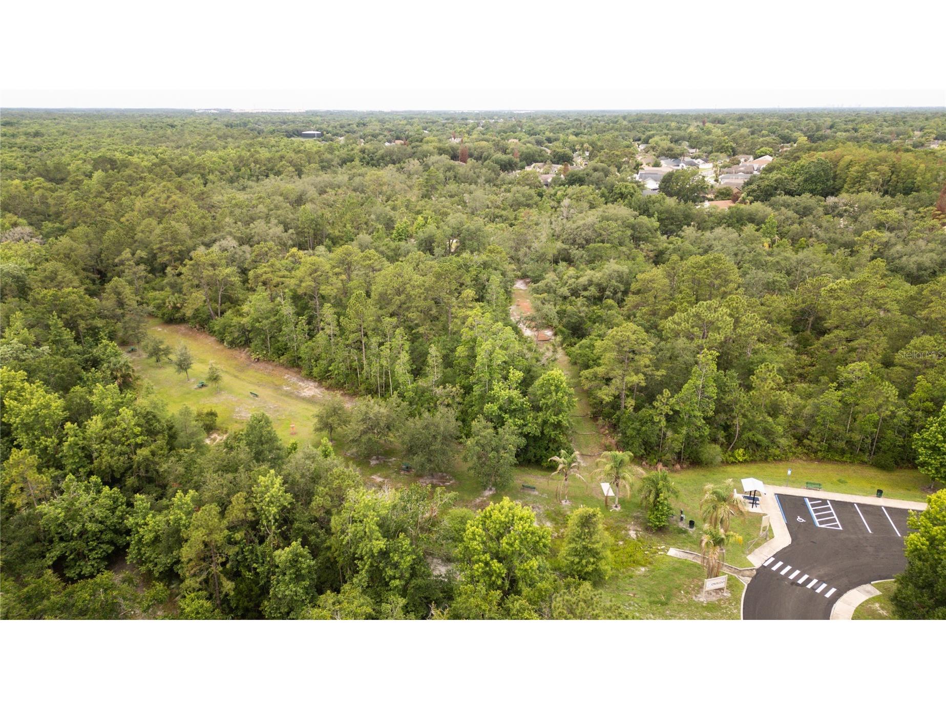 1022 Silcox Branch Circle Oviedo FL 32765 O6412203 image29