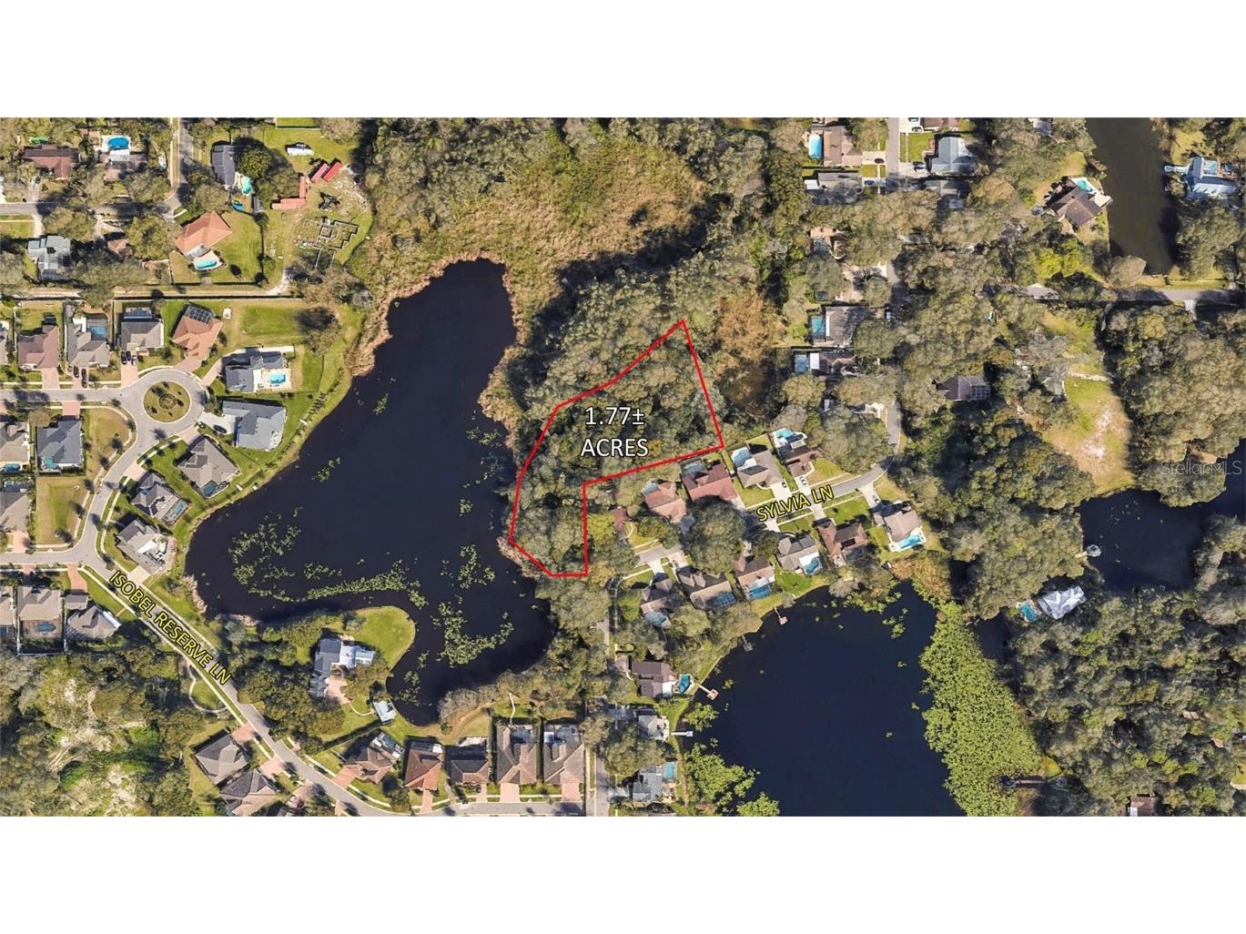 1022 Sylvia Lane Tampa FL 33613 T3531417 image1