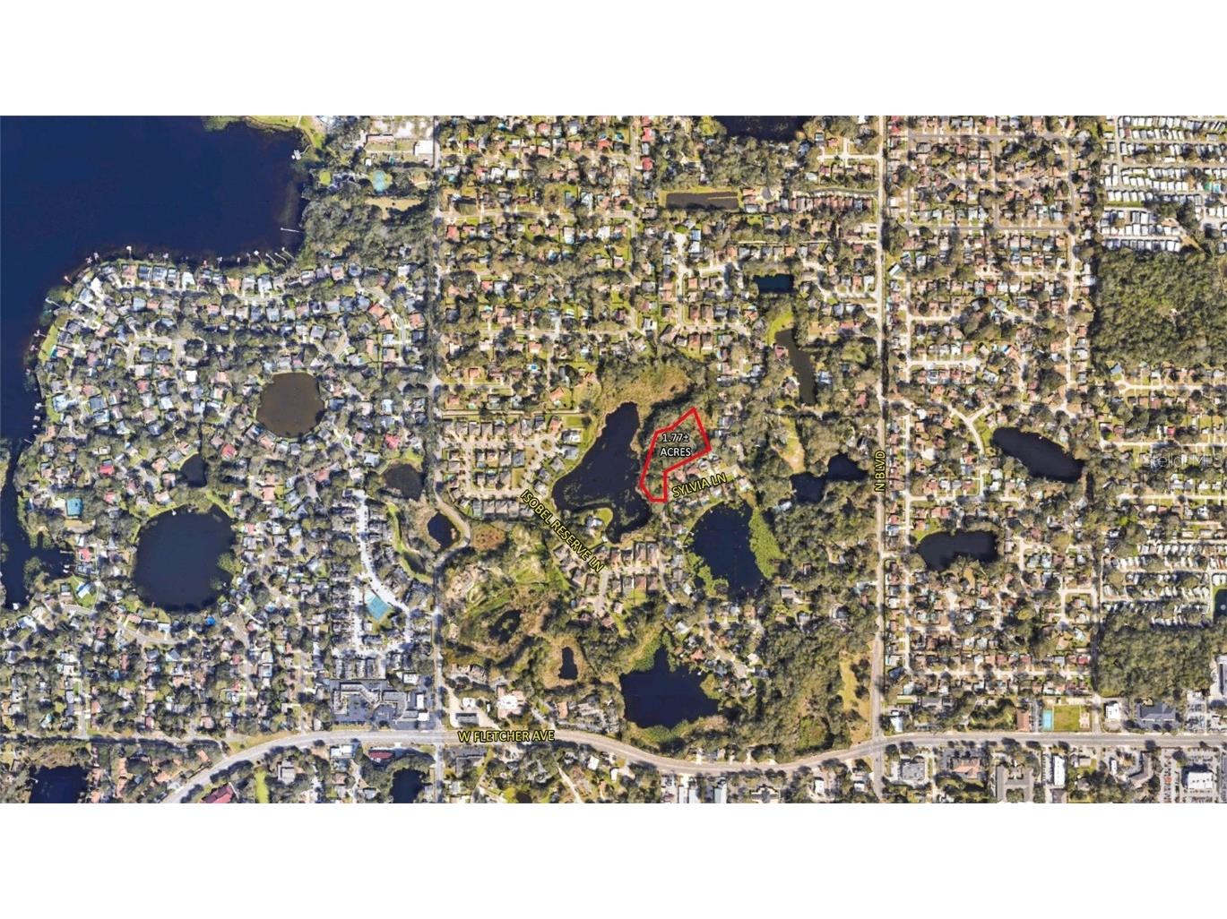 1022 Sylvia Lane Tampa FL 33613 T3531417 image2