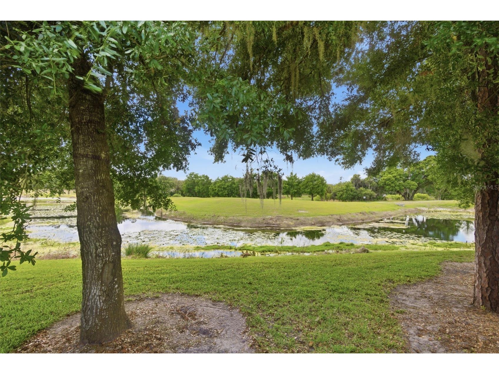1022 Victoria Hills Drive S Deland FL 32724 V4948639 image6